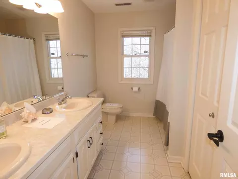11709 N Strathmoore Ct, Dunlap, IL 61525 photo 34