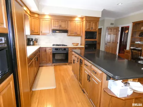 11709 N Strathmoore Ct, Dunlap, IL 61525 photo 7