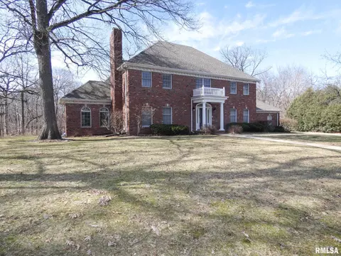 11709 N Strathmoore Ct, Dunlap, IL 61525 photo 2