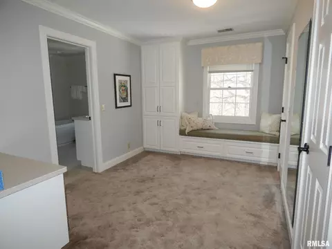 11709 N Strathmoore Ct, Dunlap, IL 61525 photo 24