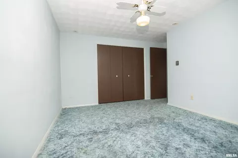 10113 W Guinivere Dr, Mapleton, IL 61547 photo 7