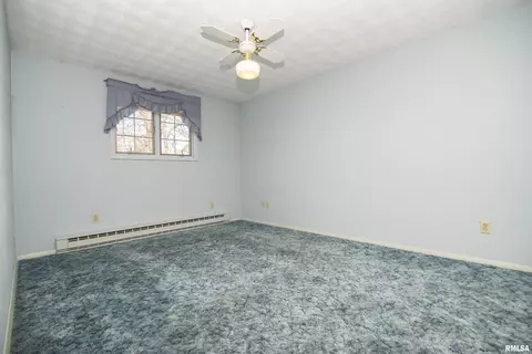 10113 W Guinivere Dr, Mapleton, IL 61547 photo 8