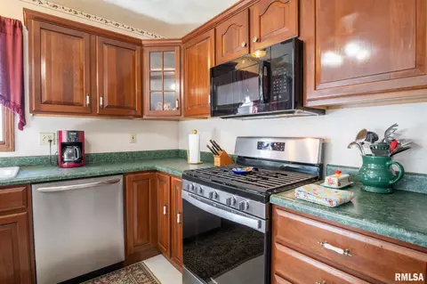 10304 W Lake Camelot Dr, Mapleton, IL 61547 photo 13