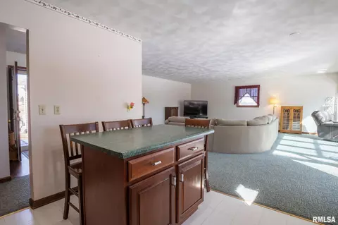 10304 W Lake Camelot Dr, Mapleton, IL 61547 photo 10