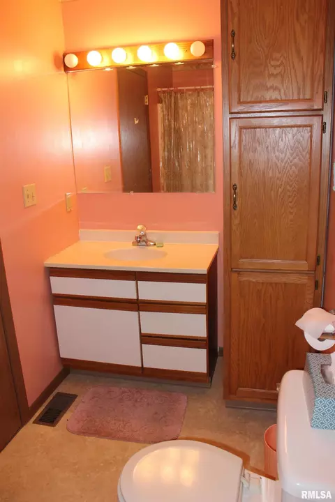 1575 E Sycamore St, Canton, IL 61520 photo 29