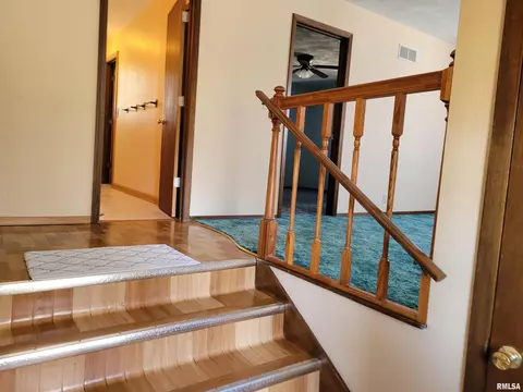 1131 E Locust St, Canton, IL 61520 photo 17