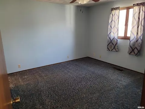 1131 E Locust St, Canton, IL 61520 photo 18