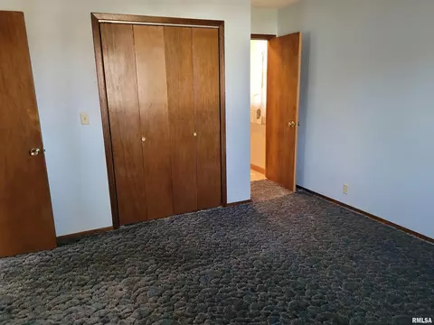 1131 E Locust St, Canton, IL 61520 photo 19