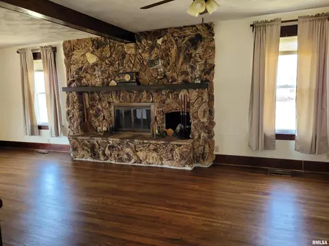 1131 E Locust St, Canton, IL 61520 photo 3