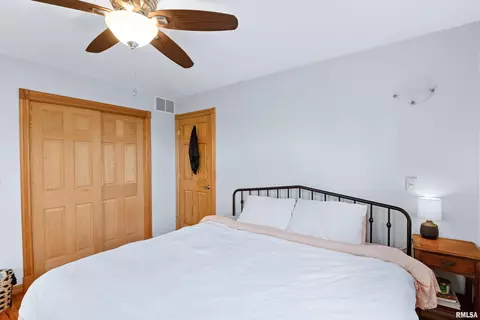 4042 Delavan Rd, Delavan, IL 61734 photo 21