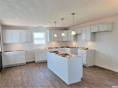 356 E Cypress Rd, Canton, IL 61520 photo 6