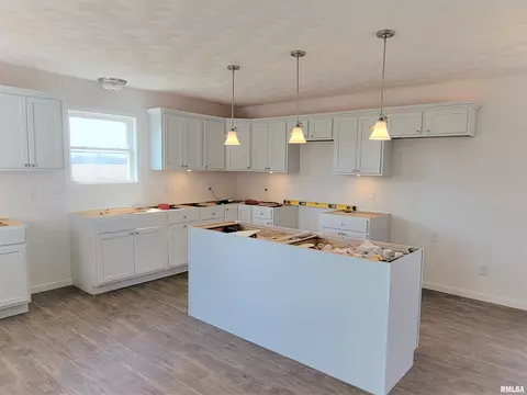 356 E Cypress Rd, Canton, IL 61520 photo 9