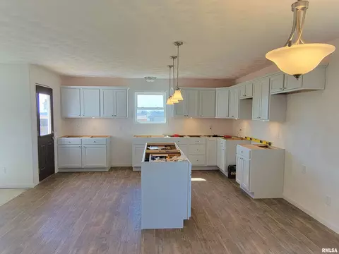 356 E Cypress Rd, Canton, IL 61520 photo 10