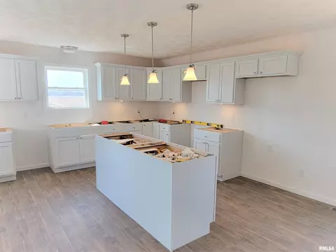356 E Cypress Rd, Canton, IL 61520 photo 7