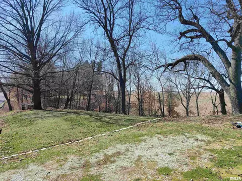 4203 S Lake Camelot Dr, Mapleton, IL 61547 photo 3