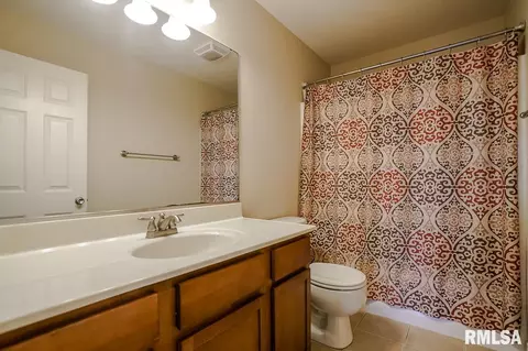 6708 N Buckeye Dr, Edwards, IL 61528 photo 27