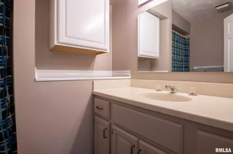 321 W Potomac Ct, Dunlap, IL 61525 photo 31