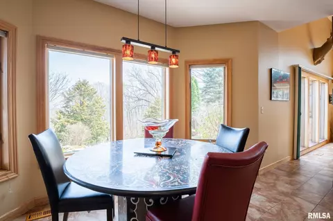 321 W Potomac Ct, Dunlap, IL 61525 photo 18