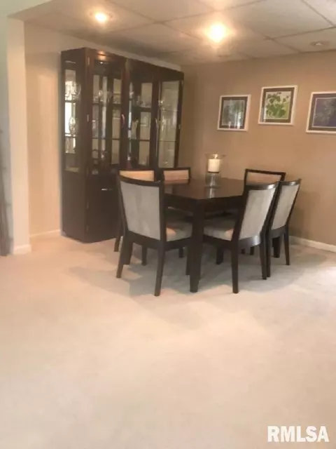 60 Carriage Hl, Macomb, IL 61455 photo 3