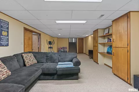 1237 W Wonderview Dr, Dunlap, IL 61525 photo 39