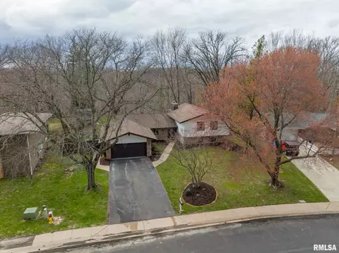 1237 W Wonderview Dr, Dunlap, IL 61525 photo 3