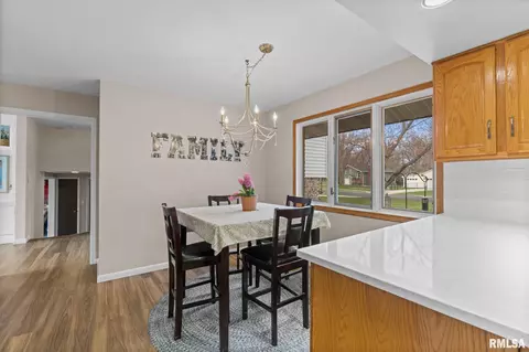 1237 W Wonderview Dr, Dunlap, IL 61525 photo 15