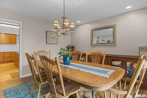 1237 W Wonderview Dr, Dunlap, IL 61525 photo 8