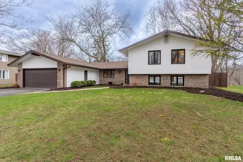 1237 W Wonderview Dr, Dunlap, IL 61525 photo 2