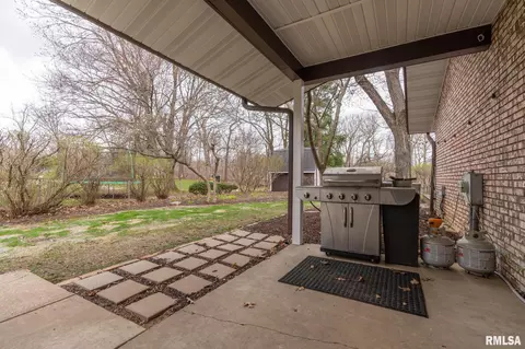 1237 W Wonderview Dr, Dunlap, IL 61525 photo 44