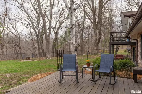 1237 W Wonderview Dr, Dunlap, IL 61525 photo 43