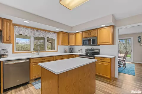 1237 W Wonderview Dr, Dunlap, IL 61525 photo 12
