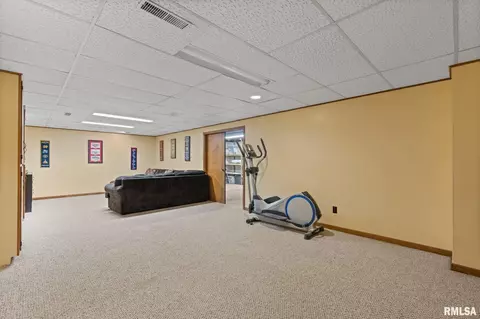 1237 W Wonderview Dr, Dunlap, IL 61525 photo 38