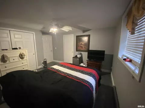 243 Hillbrook Ct, Dunlap, IL 61525 photo 34