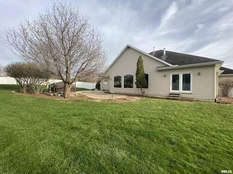 243 Hillbrook Ct, Dunlap, IL 61525 photo 42