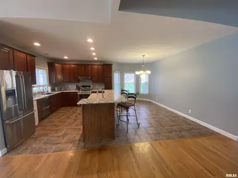 243 Hillbrook Ct, Dunlap, IL 61525 photo 8