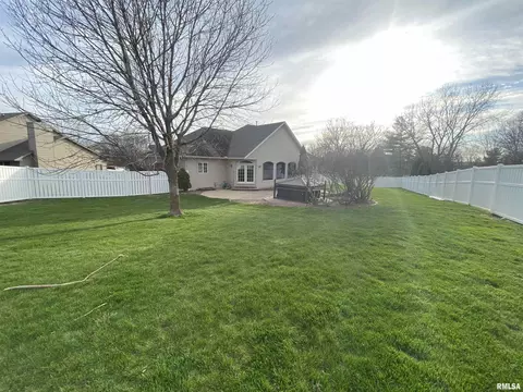 243 Hillbrook Ct, Dunlap, IL 61525 photo 39