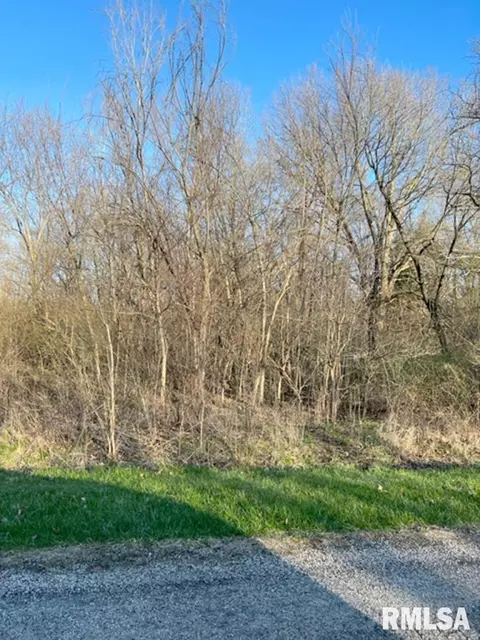 91 Birch Court, Dahinda, IL 61428