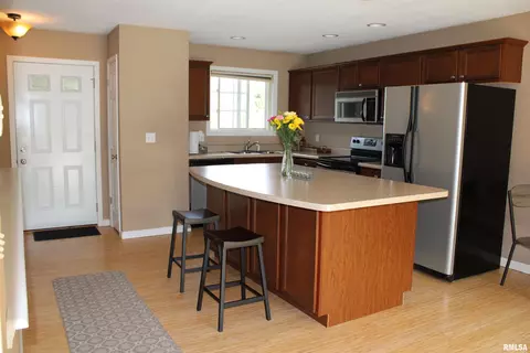 646 Bittersweet Ave, Germantown Hills, IL 61548 photo 5