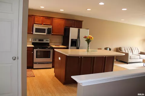646 Bittersweet Ave, Germantown Hills, IL 61548 photo 3