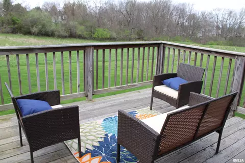 646 Bittersweet Ave, Germantown Hills, IL 61548 photo 21