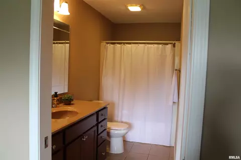 646 Bittersweet Ave, Germantown Hills, IL 61548 photo 13