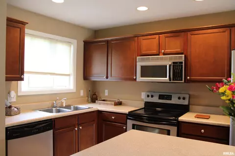 646 Bittersweet Ave, Germantown Hills, IL 61548 photo 4