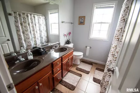 11623 Dunmore Dr, Dunlap, IL 61525 photo 37