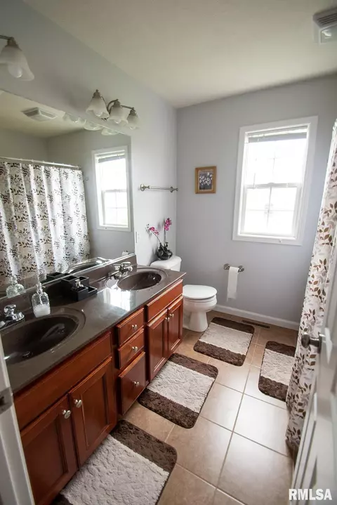 11623 Dunmore Dr, Dunlap, IL 61525 photo 38