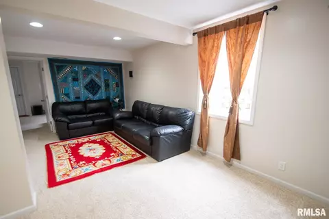 11623 Dunmore Dr, Dunlap, IL 61525 photo 54