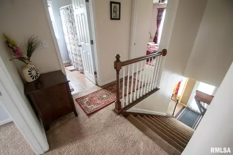 11623 Dunmore Dr, Dunlap, IL 61525 photo 34