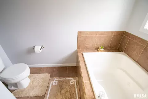 11623 Dunmore Dr, Dunlap, IL 61525 photo 51