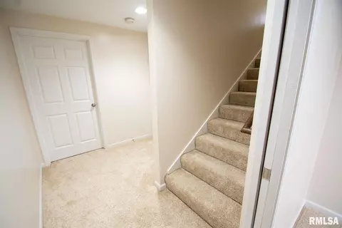 11623 Dunmore Dr, Dunlap, IL 61525 photo 52