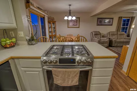 4515 S Tewkesbury Ct, Mapleton, IL 61547 photo 12