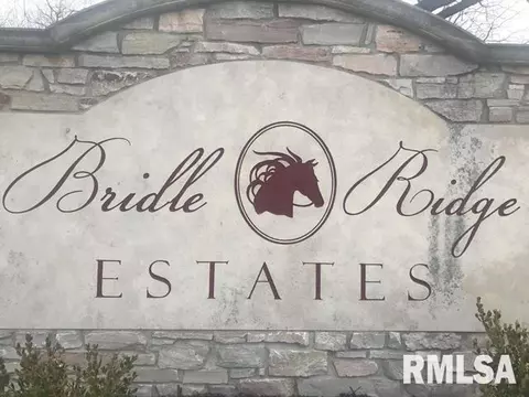8 Stallion Way, Goodfield, IL 61742